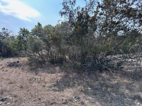 1341 Lakeshore Ln, Bandera, TX, 78003-3937 | Card Image