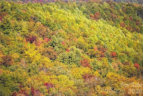 2 Highlands Point, Highlands, NC, 28741 | Card Image