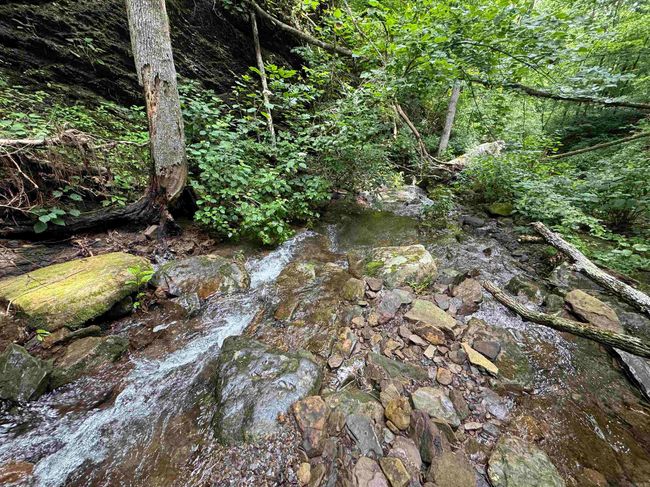 00 Calico Rd, Home with 0 bedrooms, 0 bathrooms and null parking in Clinton AR | Image 6