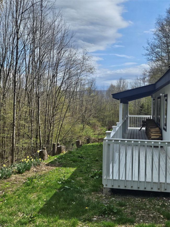 View of yard | Image 27