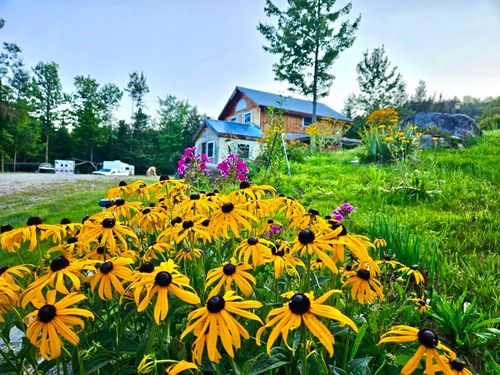 826 Bousquet Rd, Lowell, VT, 05847-4413 | Card Image