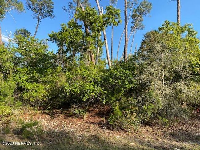 105 Sandpiper Ln, Home with 0 bedrooms, 0 bathrooms and null parking in Georgetown FL | Image 7