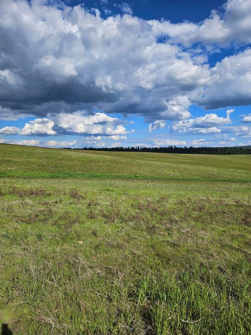 52XX Wagner Lot A Rd, Springdale, WA, 99173 | Card Image