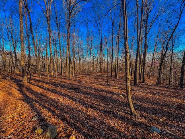 279 Palisades Trl, Home with 0 bedrooms, 0 bathrooms and null parking in Denton NC | Image 6