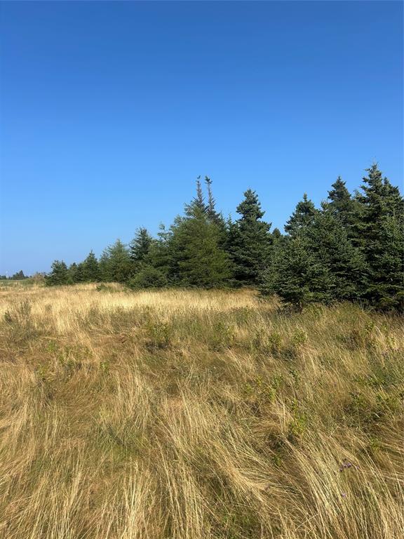 Land in Roaches Line 5