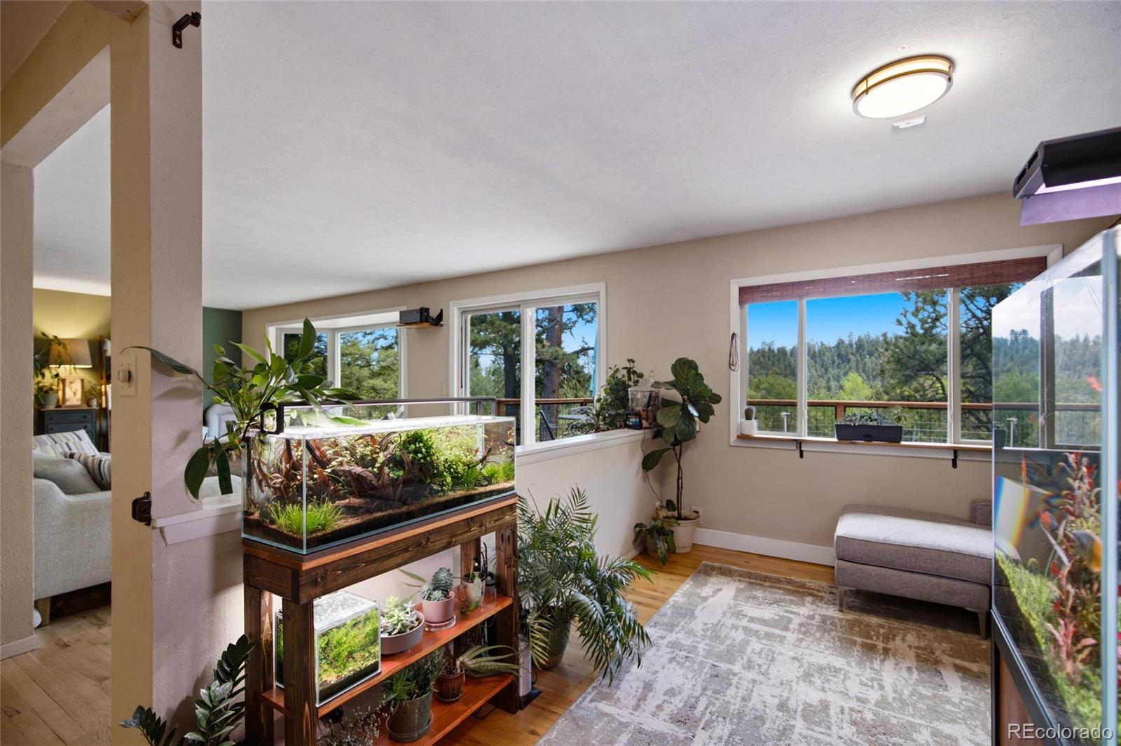 Residential in Conifer 5