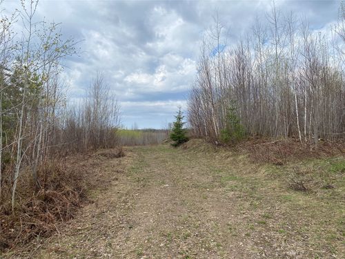 Near Wilson Lake Road, Phillips, WI, 54555 | Card Image