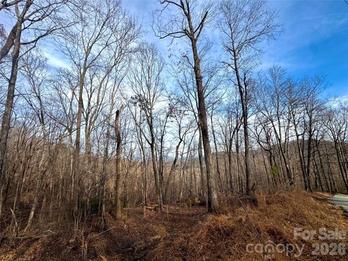 0 Peartree Dr, Lake Lure, NC, 28746 | Card Image