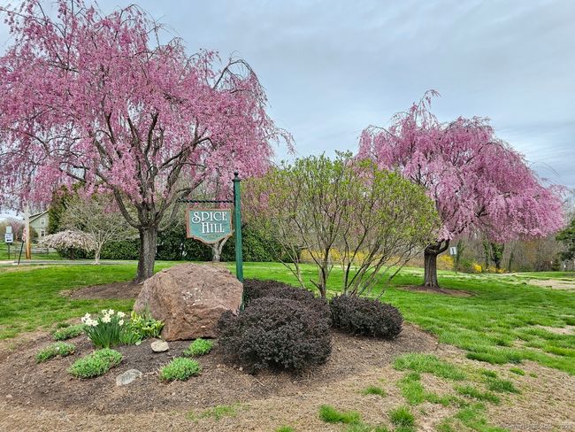 42 - 42 Spice Hill Dr, Condo with 2 bedrooms, 3 bathrooms and 2 parking in Wallingford CT | Image 24