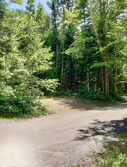 0 Glamorgan Rd, Haliburton, ON, K0M1S0 | Card Image