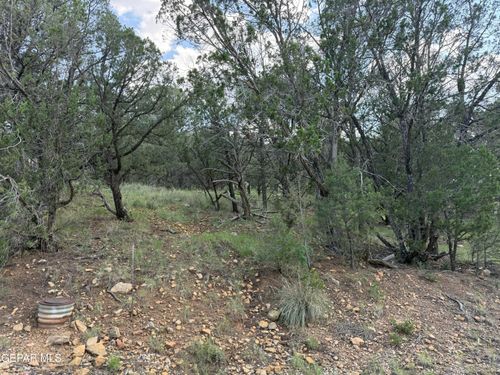 PN0361738 Tbdchisholm Trail, Ruidoso, NM, 88345 | Card Image