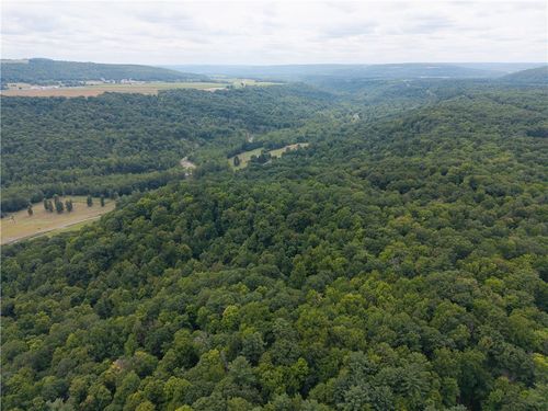 0 Poags Hole Rd, Dansville, NY, 14437 | Card Image