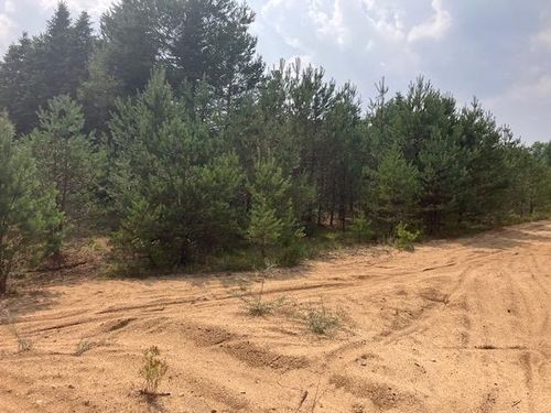 Parcel F-2 N 2 1/2 Road, Hanover Township, MI, 49620 | Card Image