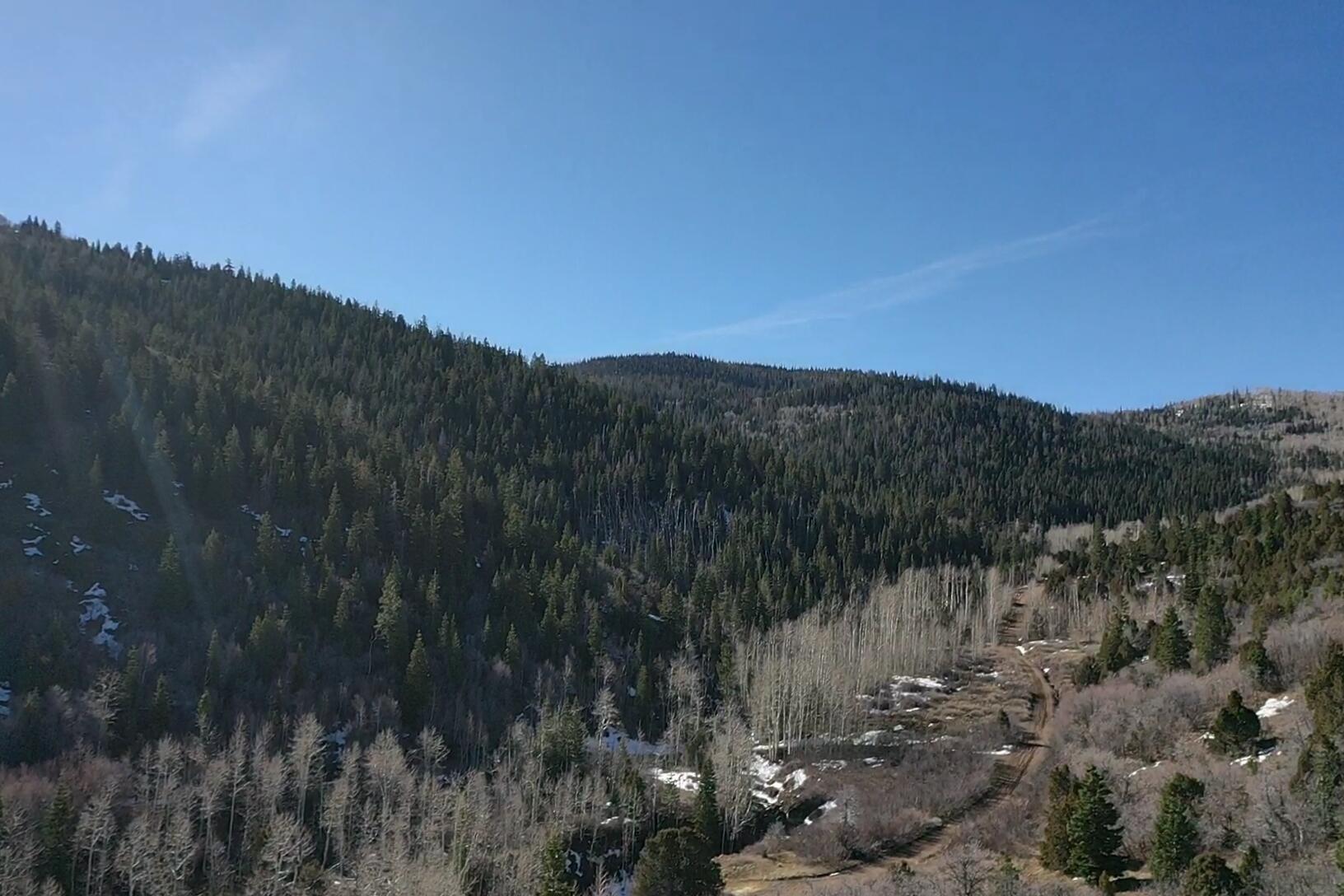 Land in Summit 4