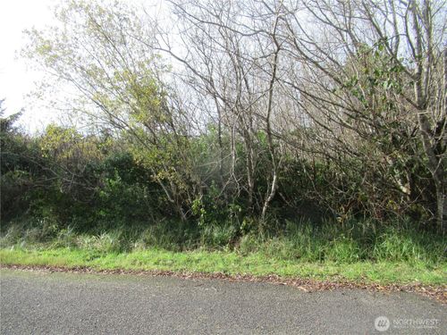 12 Driftwood Dr, Ocean Shores, WA, 98569-9291 | Card Image