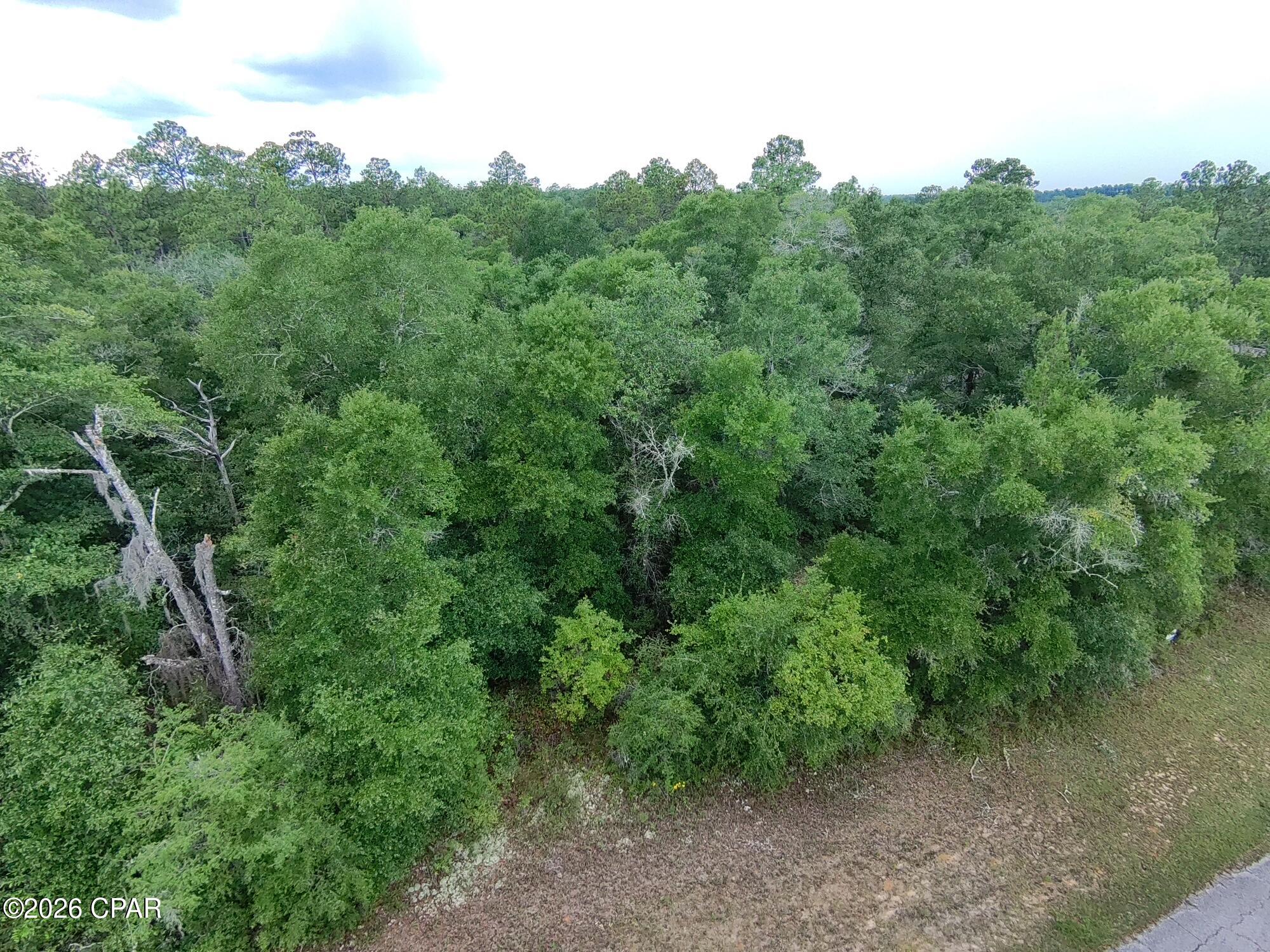 Land in Chipley 4