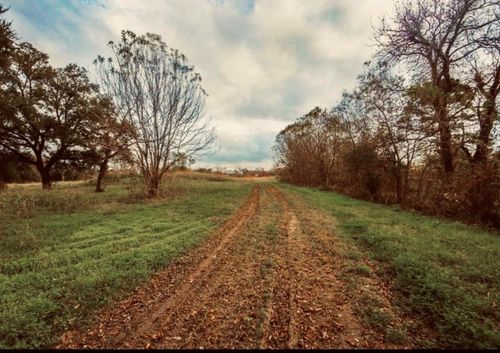 12215 Foxton Rd, Houston, TX, 77048-3826 | Card Image