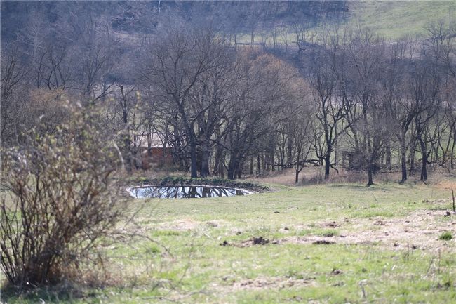 57 Sugar Creek Road, Home with 0 bedrooms, 0 bathrooms and null parking in Washburn MO | Image 27