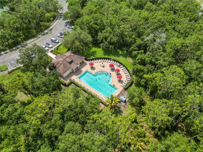 16804 Hawkridge Rd, House other with 4 bedrooms, 2 bathrooms and null parking in Lithia FL | Image 59
