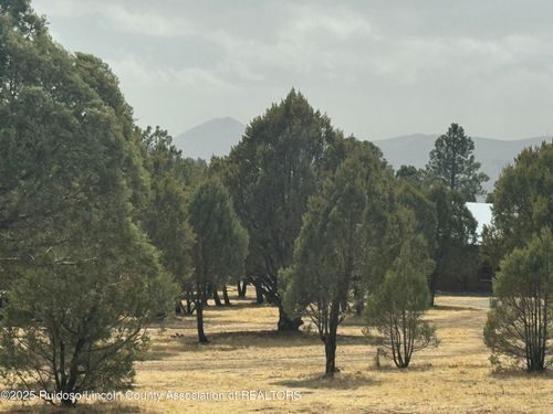 Lot 151 Reindeer Dr, Alto, NM, 88312 | Card Image