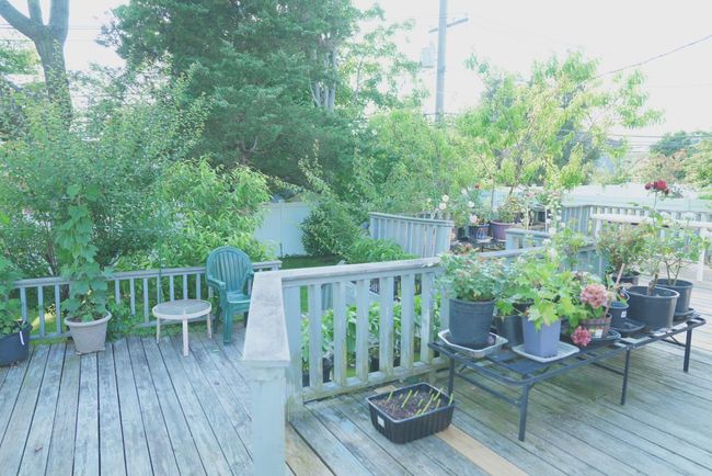 Deck with a fenced backyard | Image 19