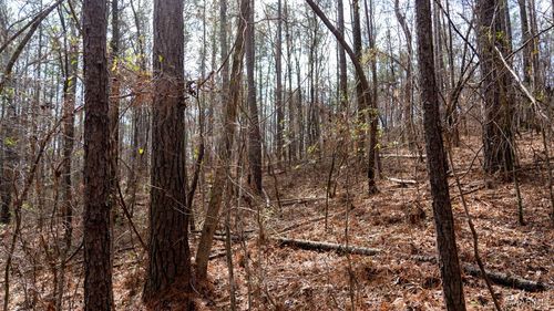 0 Deer Path, WILSONVILLE, AL, 35186 | Card Image