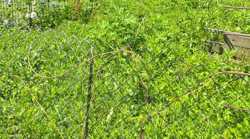 64 N 10th St, Newark, OH, 43055-4353 | Card Image