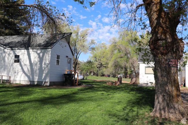 View of green lawn | Image 44