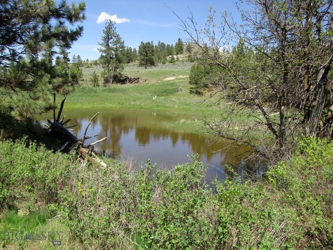 Full Seasonal Pond | Image 7