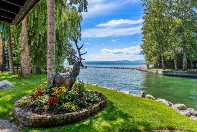 Beautiful bronze stag guards the front lawn, watching over lake and land | Image 38