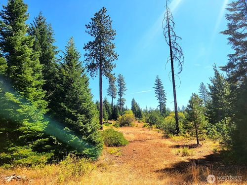 0 Lot 2 E Simcoe Dr, Goldendale, WA, 98620 | Card Image