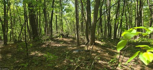 00 Goose Creek Lane, Ararat, VA, 24053 | Card Image