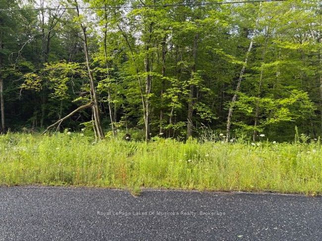 60 Summer Leigh Trail, Home with 0 bedrooms, 0 bathrooms and null parking in Utterson ON | Image 8
