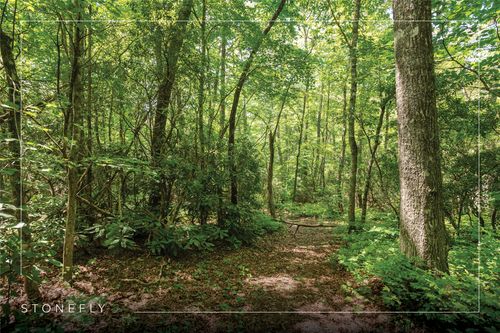 Lot 14 Streamside Dr, Cashiers, NC, 28717 | Card Image