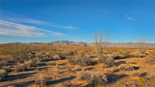 245-24-060 S Roll Road, Yucca, AZ, 86438 | Card Image