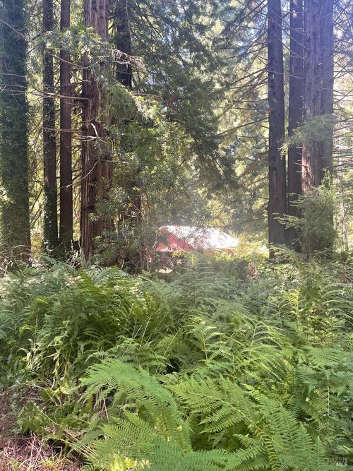 29500 Albion Ridge Rd, Albion, CA, 95410 | Card Image