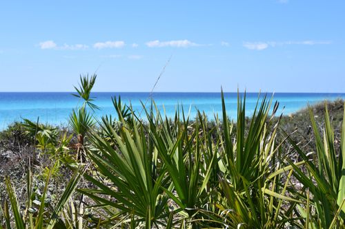 5202-206 Henderson Resort Way, Destin, FL, 32541-3827 | Card Image