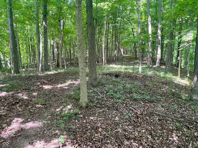 00 N 800 Th E, Home with 0 bedrooms, 0 bathrooms and null parking in Roachdale IN | Image 4