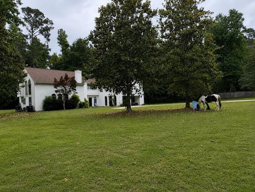 3392 Deer Lane Drive, Tallahassee, FL, 32312 | Card Image
