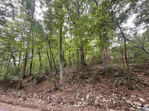 LOT 24 Oakhill Dr Nw, Cullman, AL, 35055 | Card Image