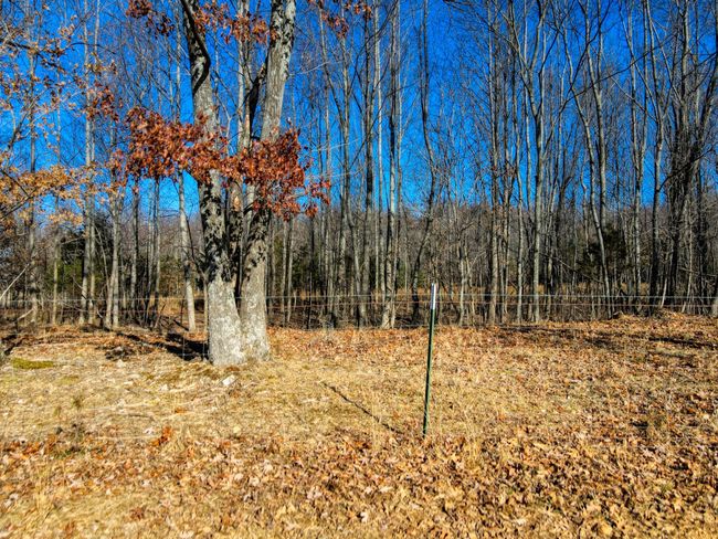 0 Old Jones Easement, Home with 0 bedrooms, 0 bathrooms and null parking in Adolphus KY | Image 15