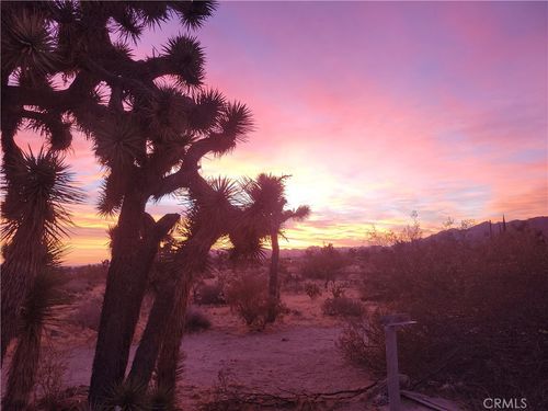 39625 Buena Vista Dr, Morongo Valley, CA, 92256 | Card Image