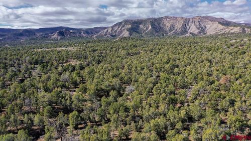 TBD Green Shadows Rd, Durango, CO, 81303 | Card Image
