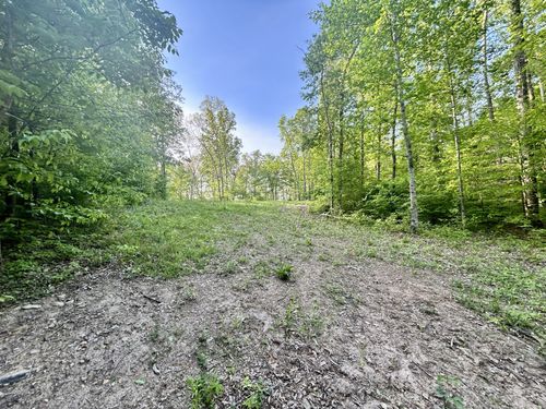 0 Chappell Cemetery Rd, Bon Aqua, TN, 37025 | Card Image