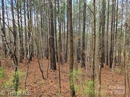 225 Cove Wood Dr, Denton, NC, 27239-6406 | Card Image