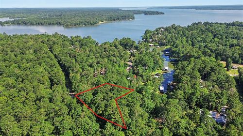 20 Lower Cove Dr, Pointblank, TX, 77364-7022 | Card Image