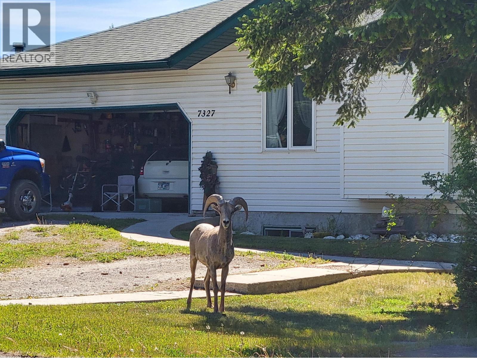Residential in Radium Hot Springs 3