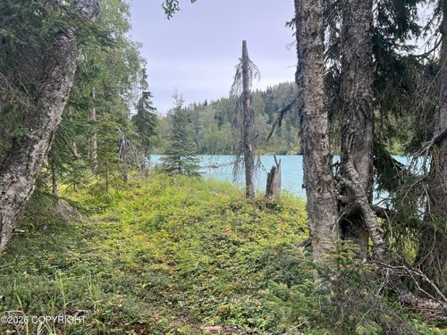 L2 Jackie Ann Street, Kasilof, AK, 99610 | Card Image