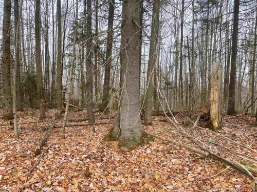 Lot 2 Canaan Hill Rd, Averill, VT, 05901 | Card Image