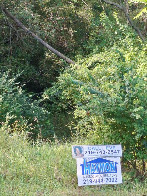 316 N Knox St, Gary, IN, 46403-2057 | Card Image